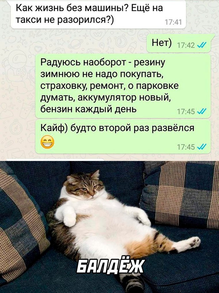 Держись подруга