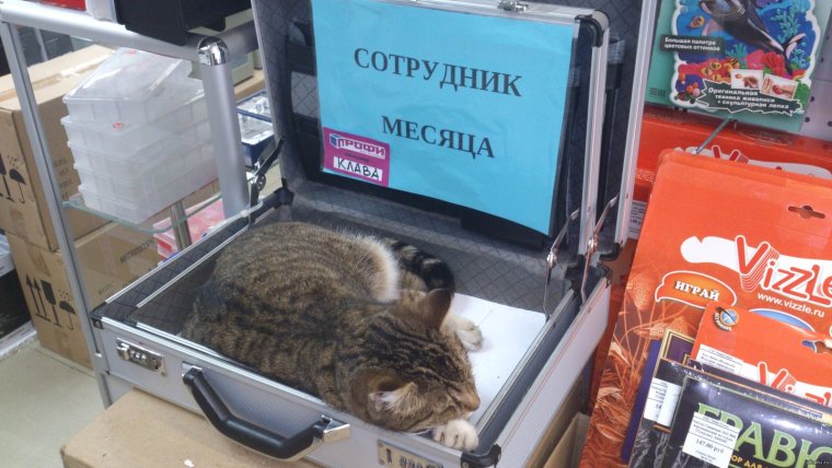 Новый год на работе приколы