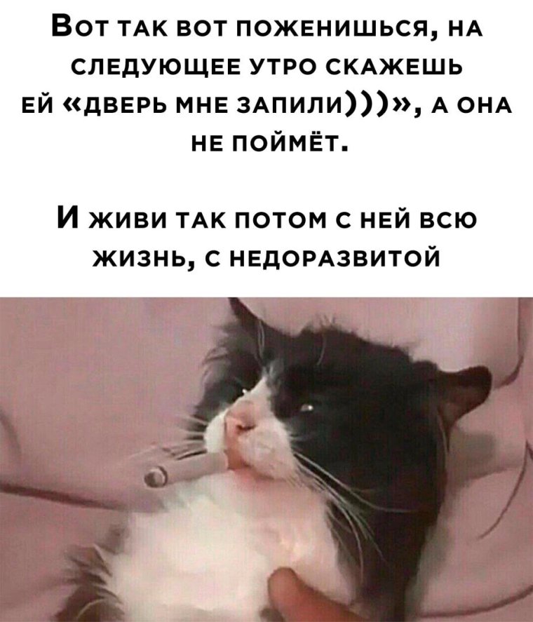 Спящий охранник