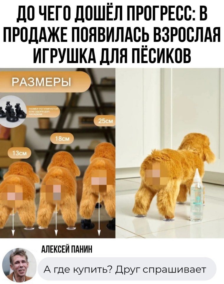 Жду зарплату