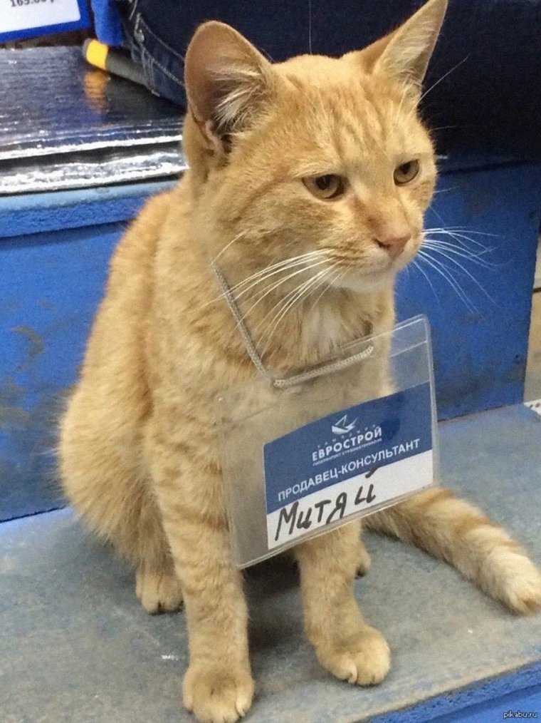 2 Января приколы