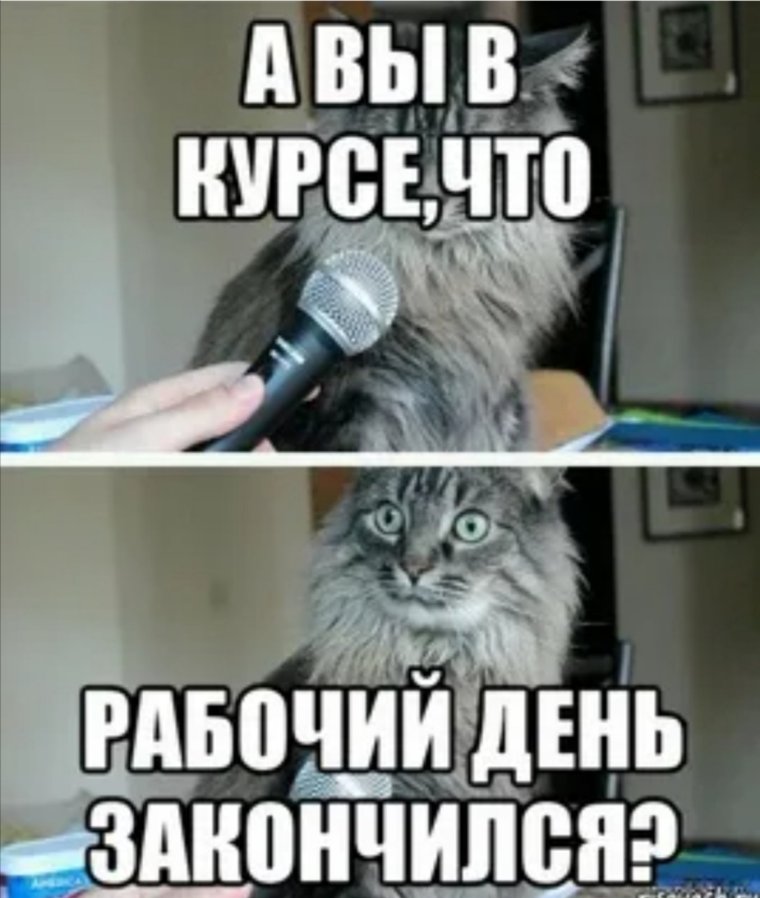 Мемы про работу