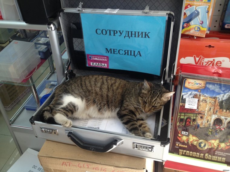 Шутки про премию