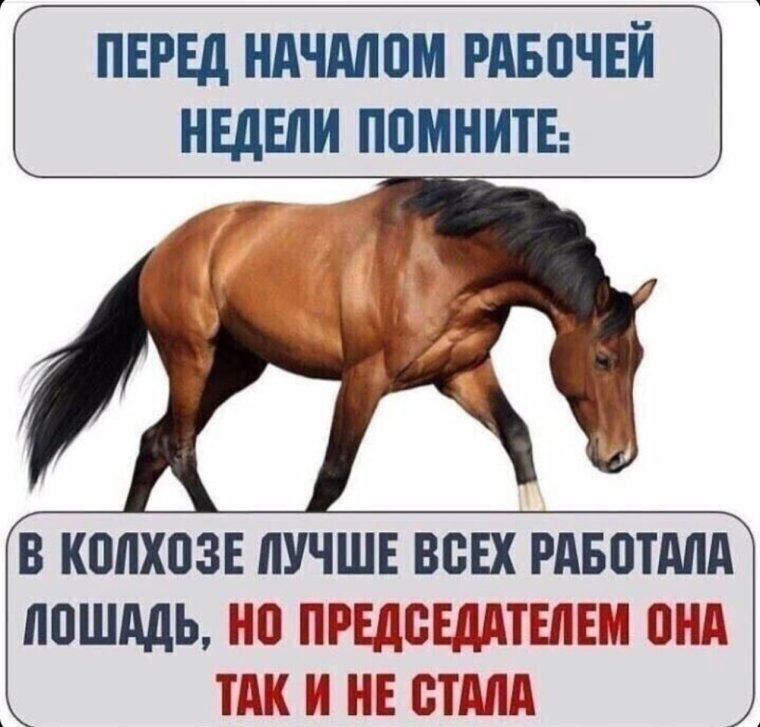 Анекдот про коллег