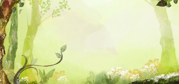 Фон леса для презентации