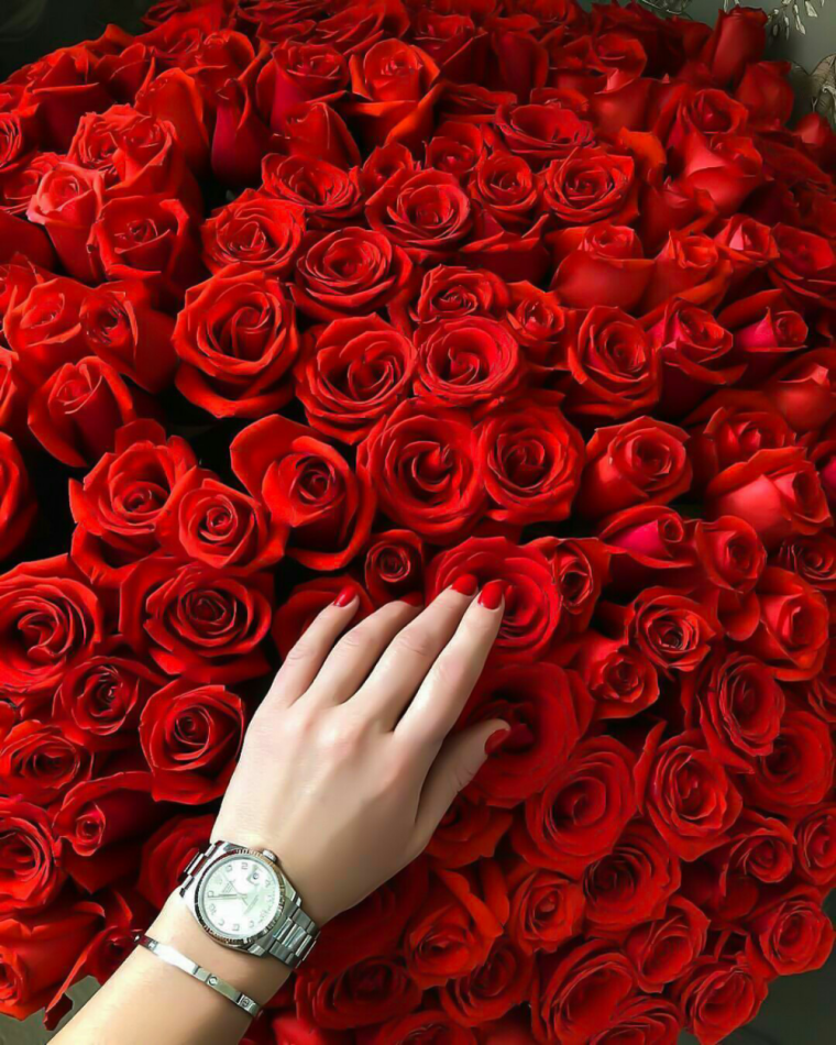 Букет роз в руках