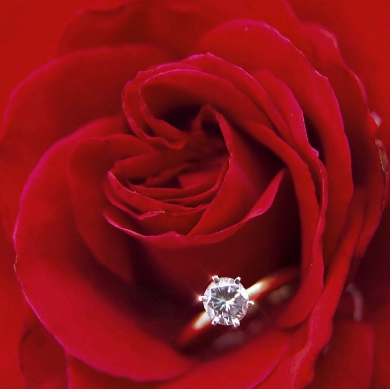 Свадебные кольца в коробочке