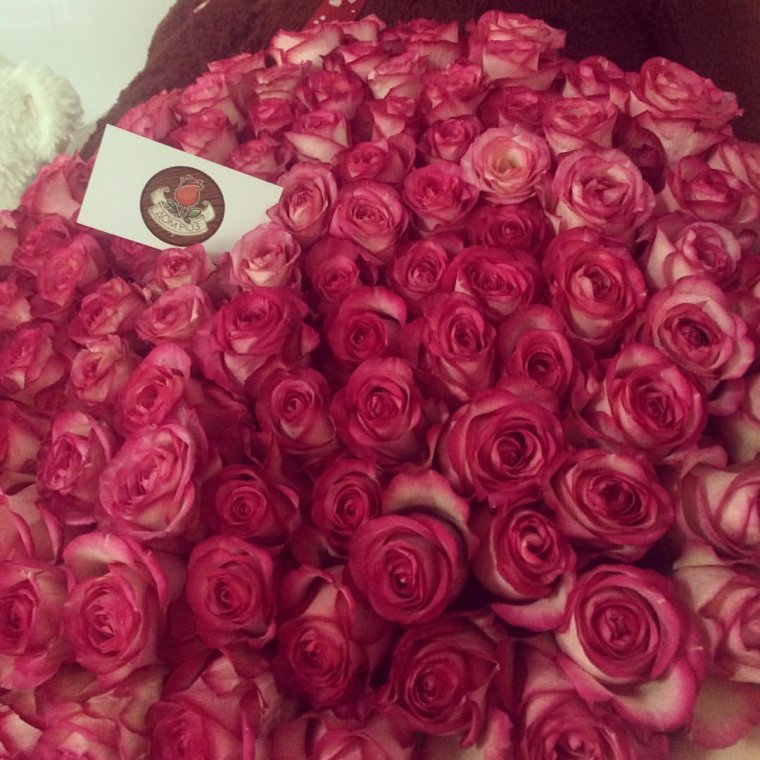 Букет роз для инсты