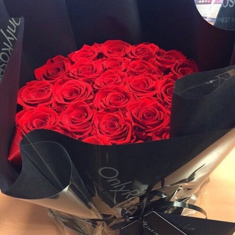 Девушка с розой в руках