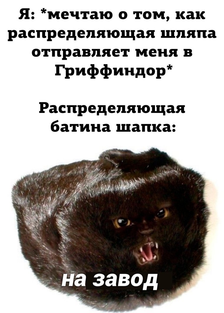 Распределяющая шляпа на завод Мем