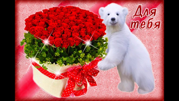 Поздравления с днём рождения