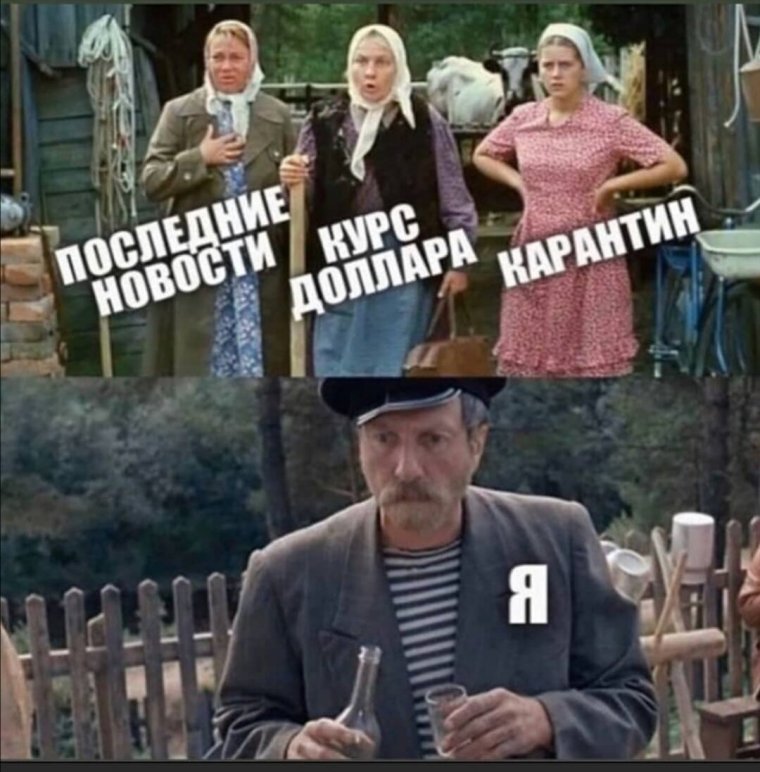 Любовь и голуби приколы