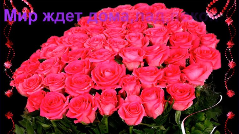 Красивый букет роз с днем рождения