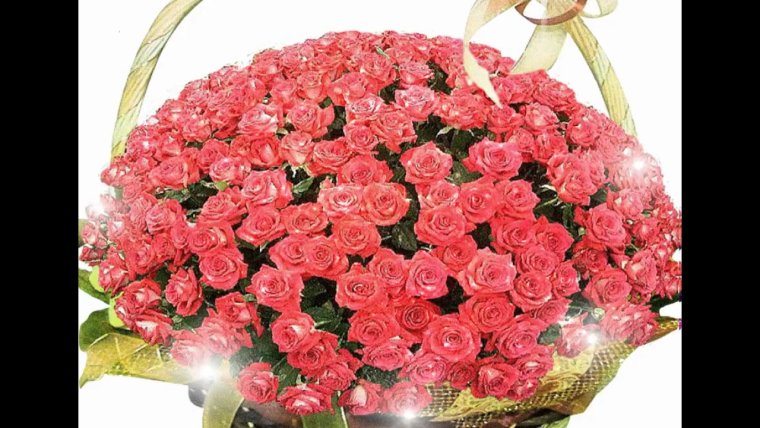 Поздравления с днём рождения розы