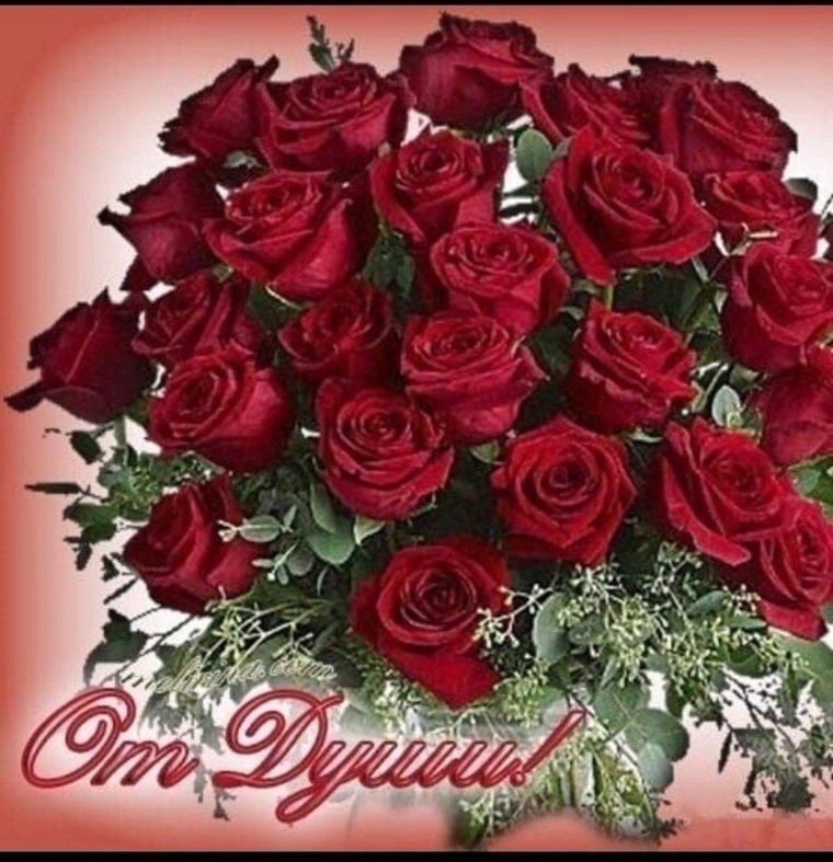 С днем рождения бордовые розы
