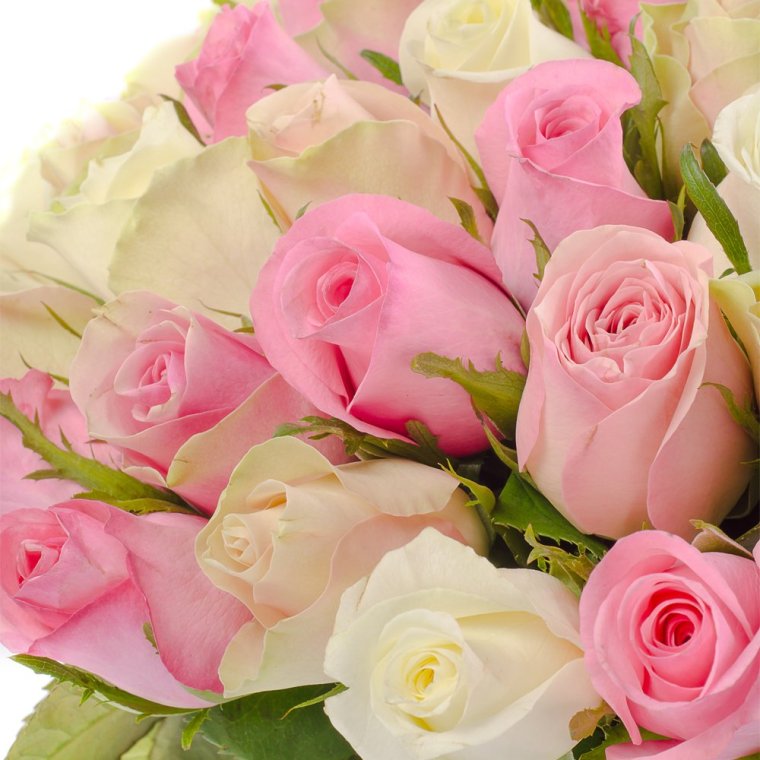 Открытки с днем рождения розы красные