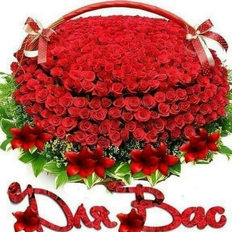 С днём рождения женщине розы