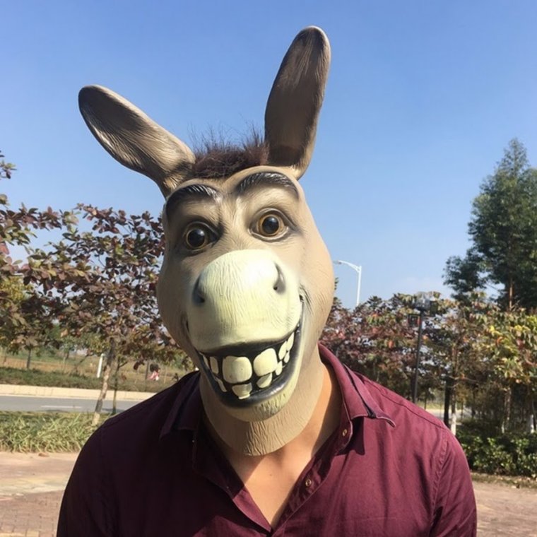 Смешной ослик