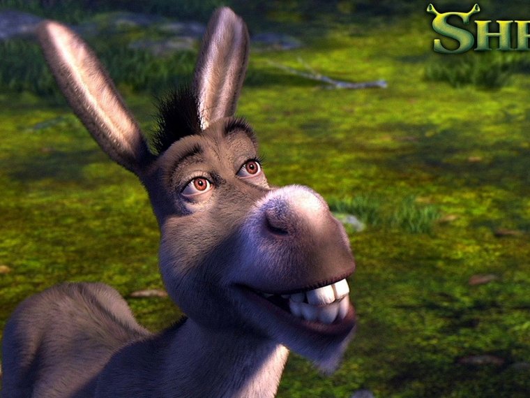 Смешной ослик