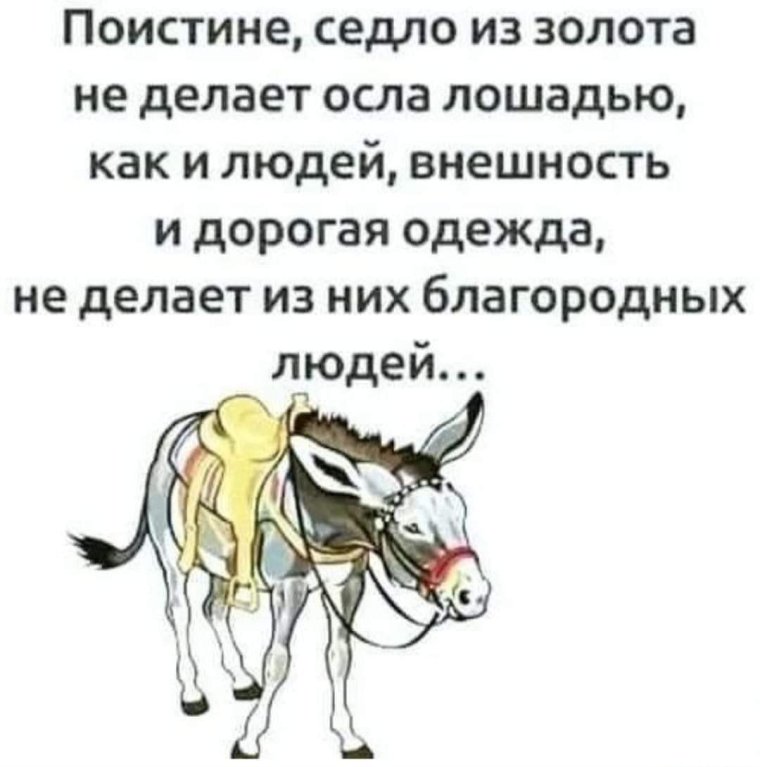 Вся суть общественного мнения