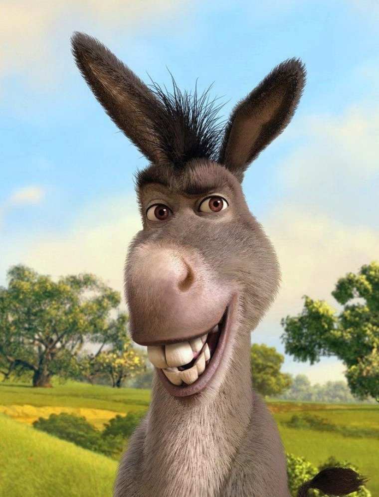 Ишак прикол