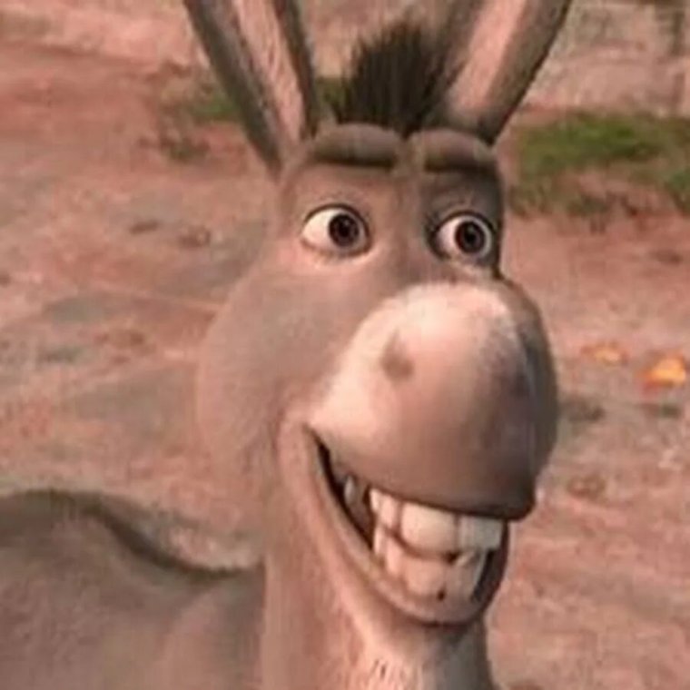 Осел из Шрека бухло