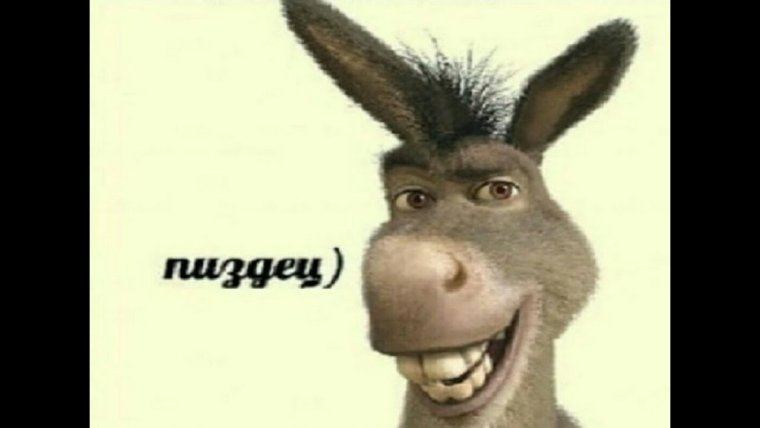 Ослик смеется