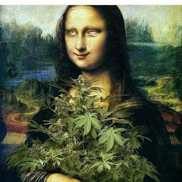 Мона гидропона