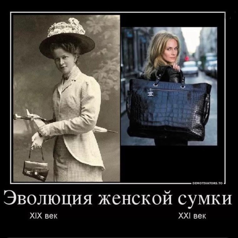 Шутки про женскую сумочку