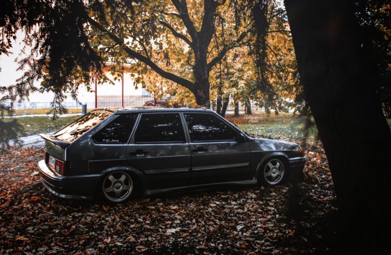 Исполнитель шансона волк Виталий