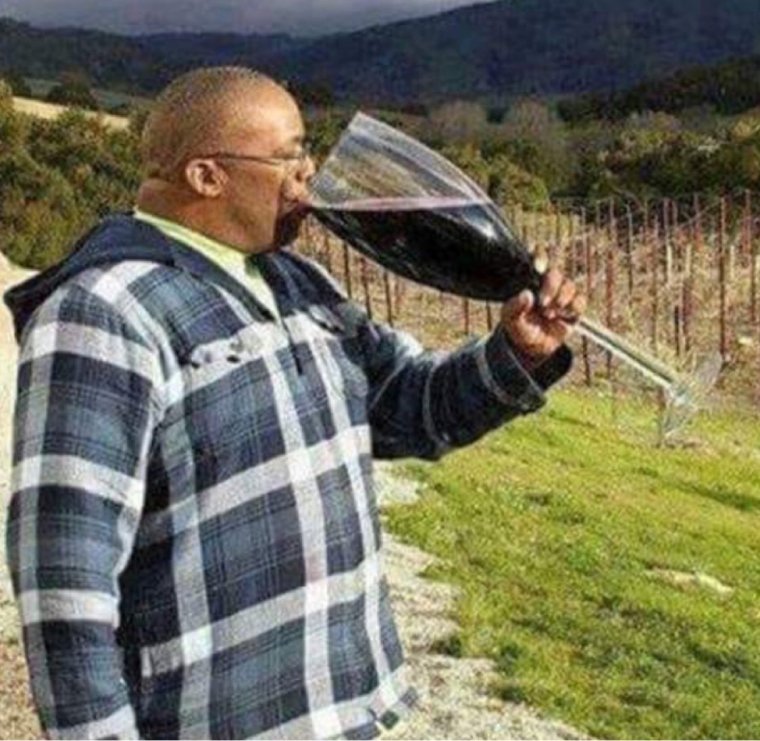 Огромный бокал для вина прикол