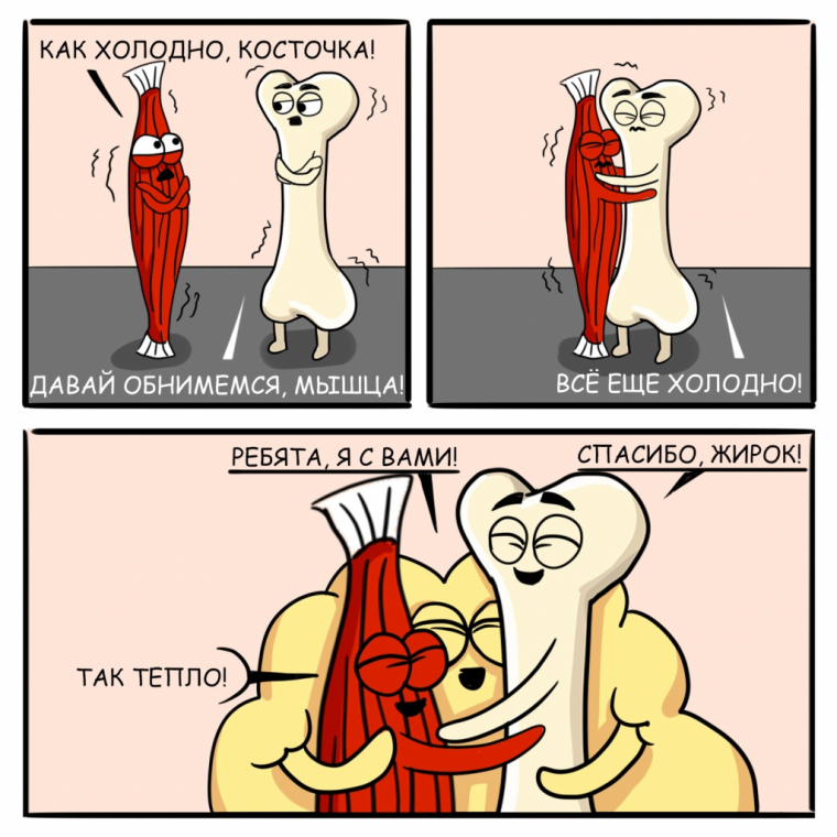 Жирок прикол