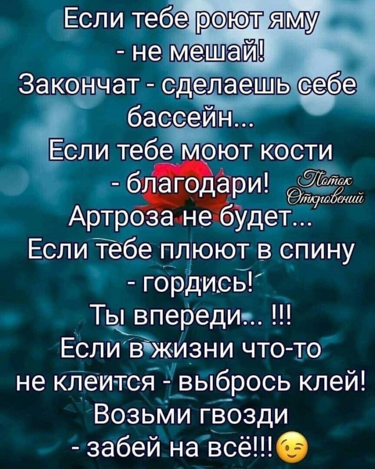 Воронины Костя и Леня