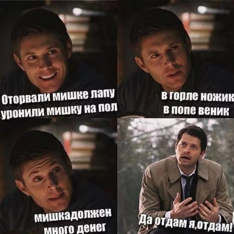 Срать лес елка светофор