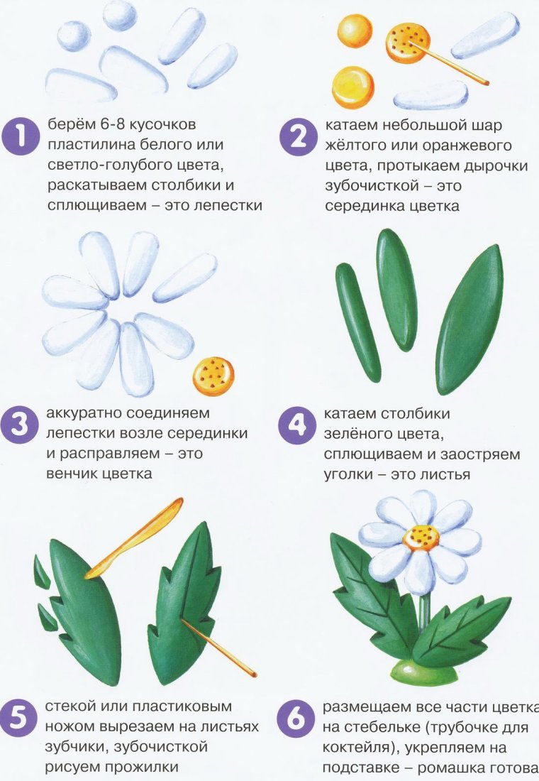 Лепка цветы