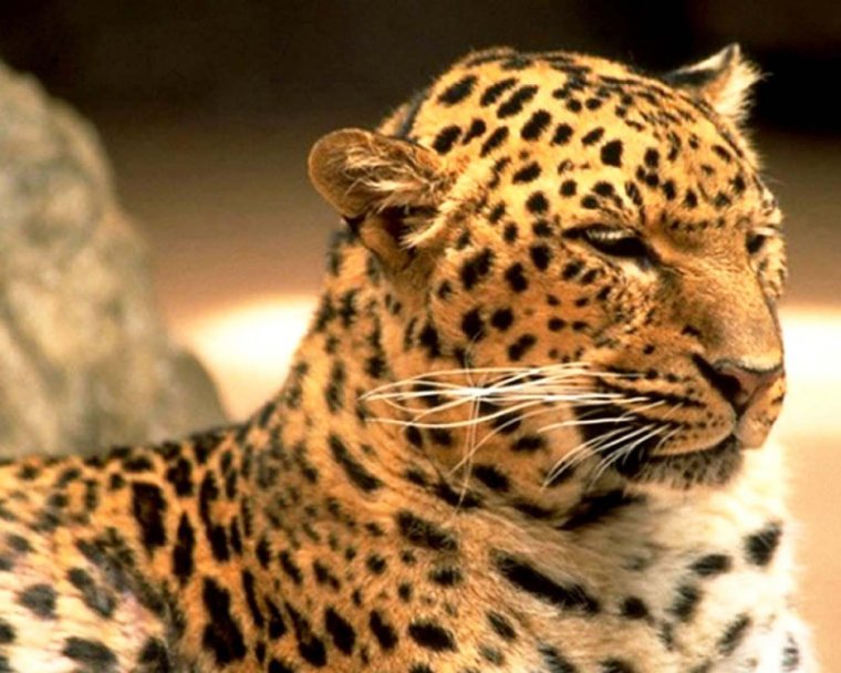 Шутки про админов групп