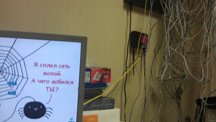 Приколы про сетевой