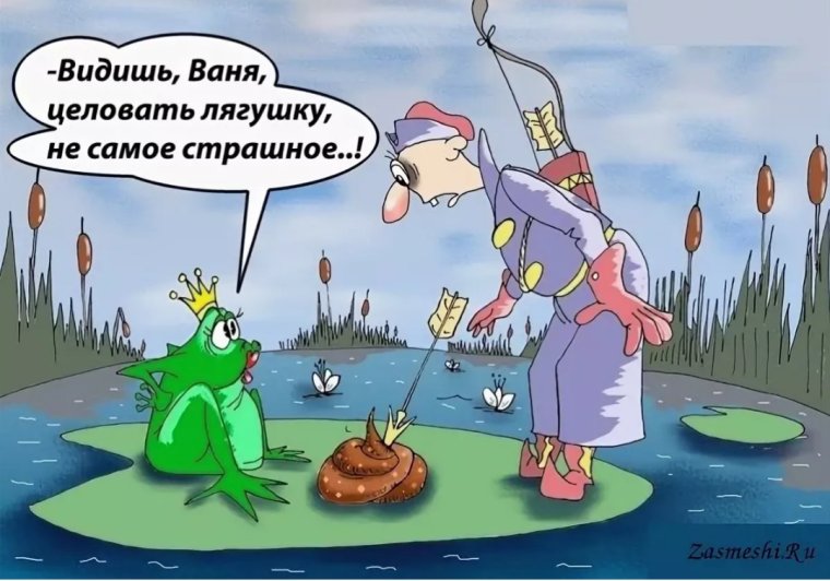 Царевна лягушка прикол
