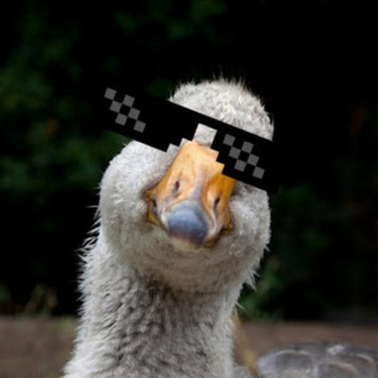 Упоротый Гусь