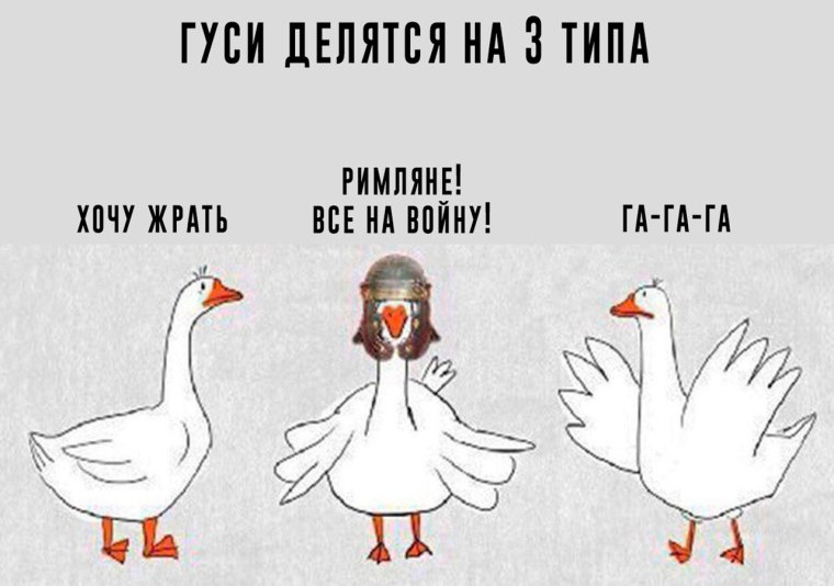 Гусь кричит