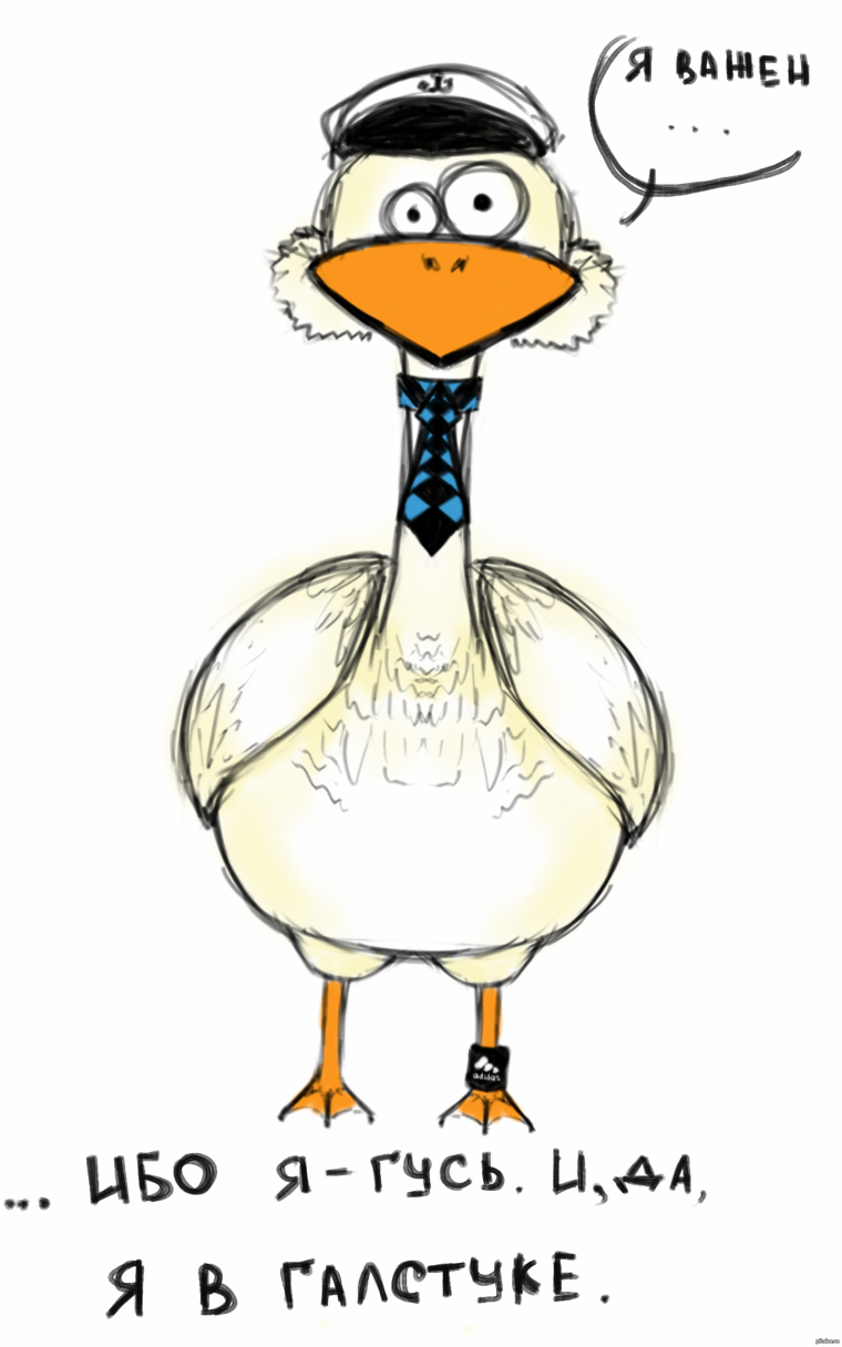 Гусь прикол
