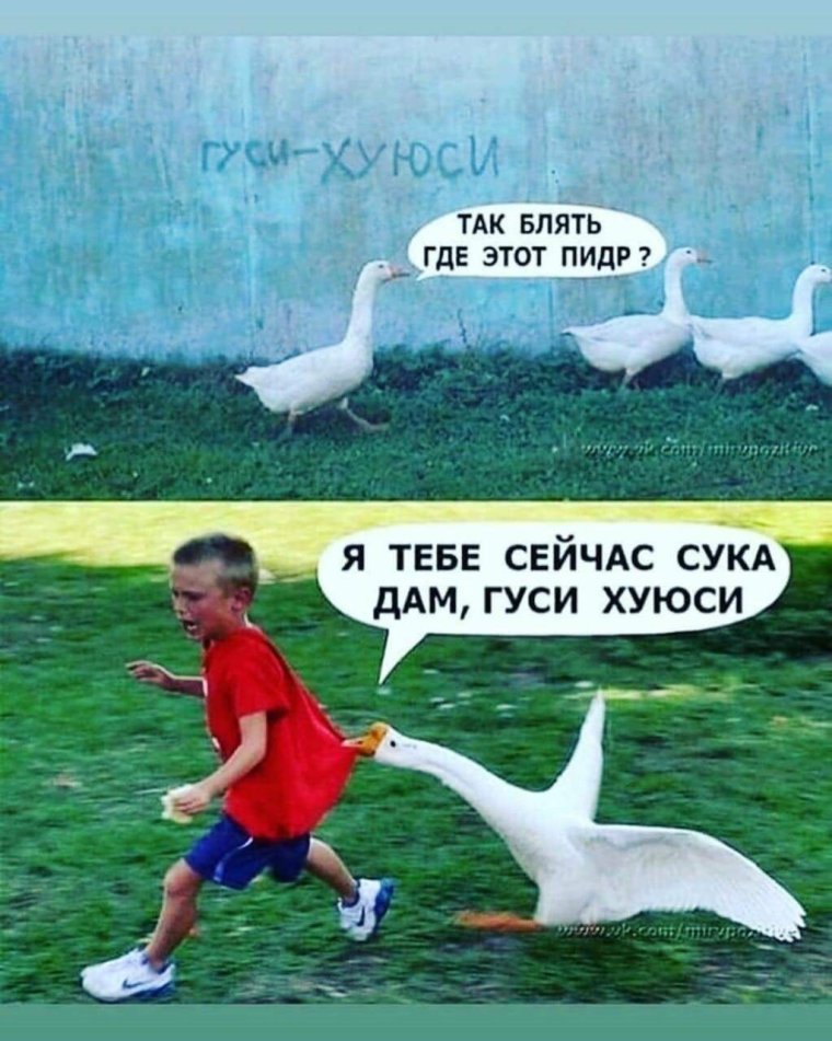 Удивленный Гусь