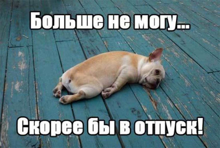 Скоро отпуск прикольные