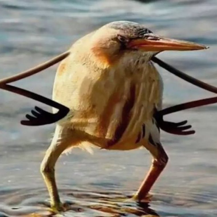 Так блэт Мем