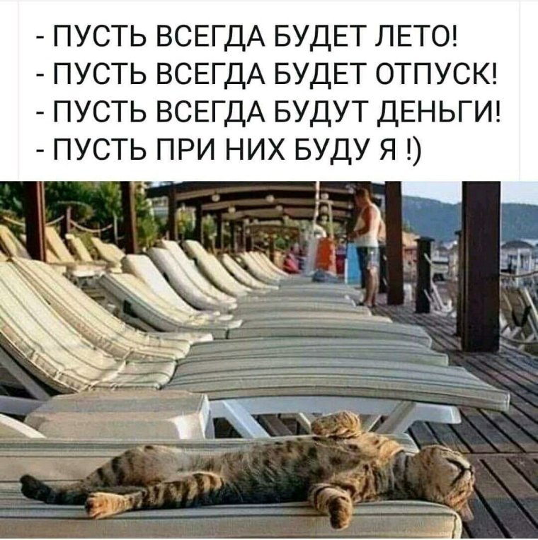 Котик отдыхает