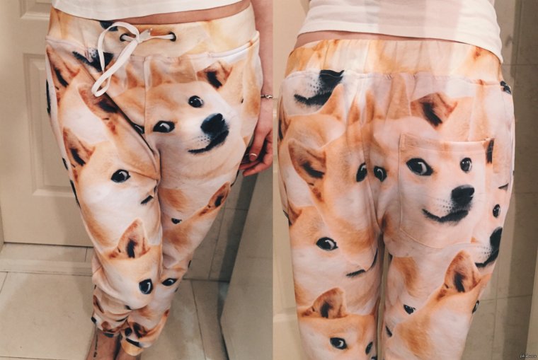 Женские штаны собаки