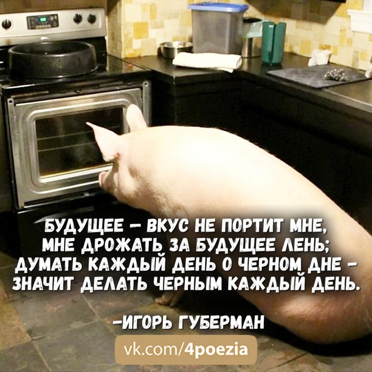 Гопник Саня