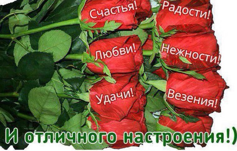 С пожеланиями всего наилучшего