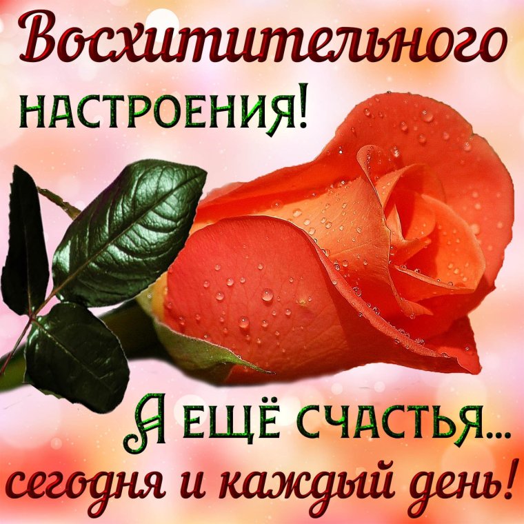 Здоровья летнего настроения