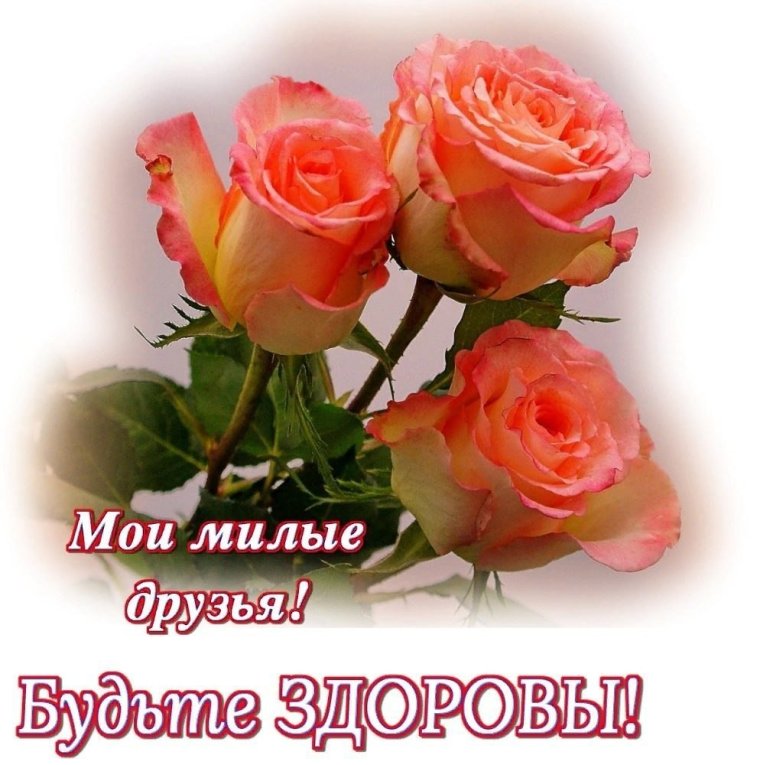 Пожелания с добрым утром и здоровья